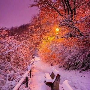 Meet your Posher, Lynn